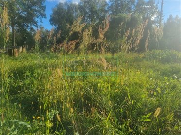 działka na sprzedaż 3177m2 działka Ojrzanów