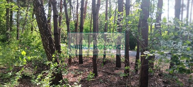 Działka 13 500 m² z warunkami zabudowy - polecam działka Budy Michałowskie