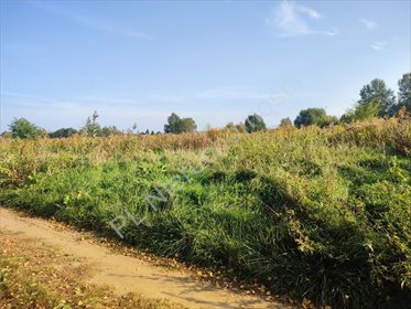 Działka budowlana 1121 m² w Starej Wsi - polecam działka Stara Wieś