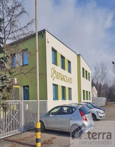 Lokal użytkowy na sprzedaż Mogilno 2 280m2 Foto 3