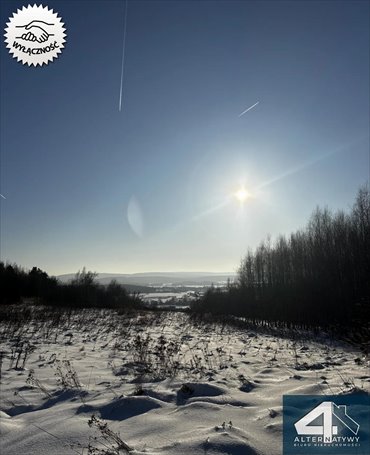 działka na sprzedaż 15200m2 działka Bieliny, Świętokrzyska