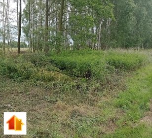 działka na sprzedaż 1000m2 działka Kąty Trzebuskie