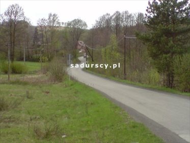 Działka budowlana na sprzedaż Frywałd 25 000m2 Foto 1