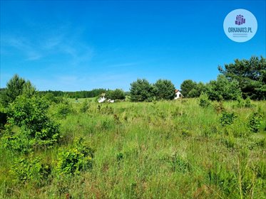 działka na sprzedaż 5204m2 działka Woryty, Woryty
