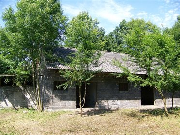 Działka budowlana na sprzedaż Imielno 7 700m2 Foto 2