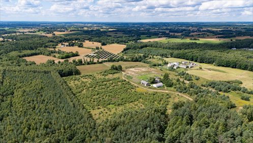 Polecam działki w Nowym Wiecu 1244-2441 m², las, cisza, prywatność działka Nowy Wiec