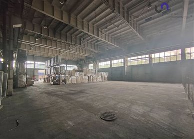 lokal użytkowy na wynajem 1000m2 lokal użytkowy Bytom, Łagiewniki