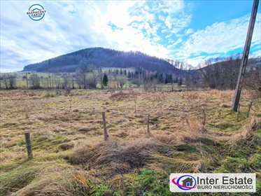 Działka budowlana na sprzedaż Łomnica, Sudecka 1 500m2 Foto 3