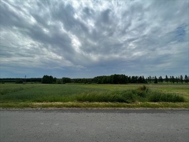Działka 5940 m² w Chęcinach (blisko domów jednorodzinnych) działka Chęciny, Łukowa