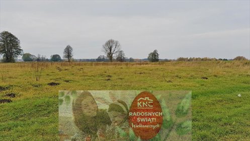 działka na sprzedaż 1330m2 działka Samoklęski-Kolonia Pierwsza