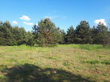 Działka budowlana na sprzedaż Wójcice, Jelcz-Laskowice 61 612m2 Foto 3