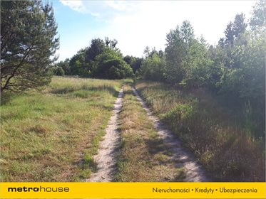 Działka budowlana na sprzedaż Wójcice, Jelcz-Laskowice 22 341m2 Foto 3