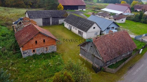 Działka 4000 m² w Krupinie (blisko lasu i Olecka) działka Krupin