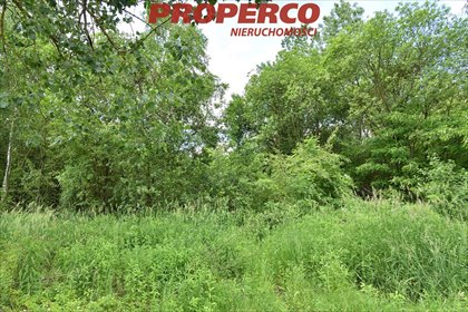 działka na sprzedaż 7200m2 działka Chmielnik, Celiny