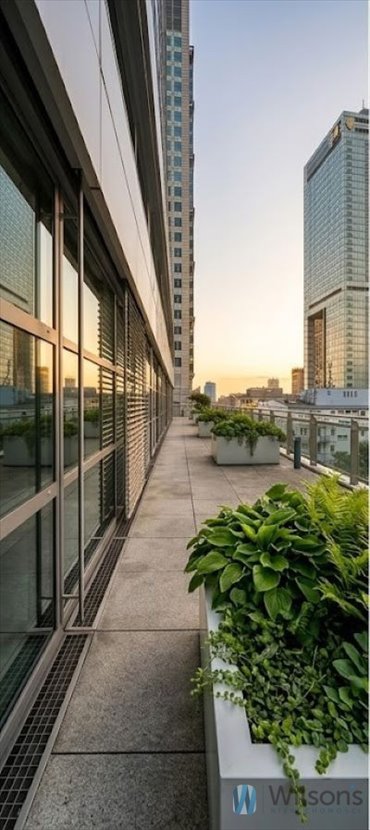 lokal użytkowy na wynajem 393m2 lokal użytkowy Warszawa, Rondo Organizacji Narodów Zjednoczonych