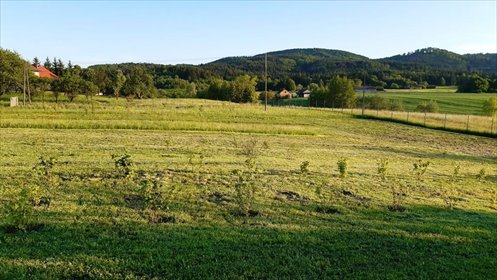 działka na sprzedaż 30000m2 działka Markuszowa