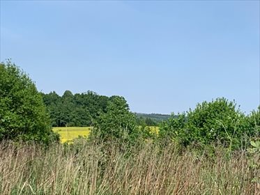 Działka rolna 2,02 ha z rekreacją i uprawami. działka Radostów Dolny