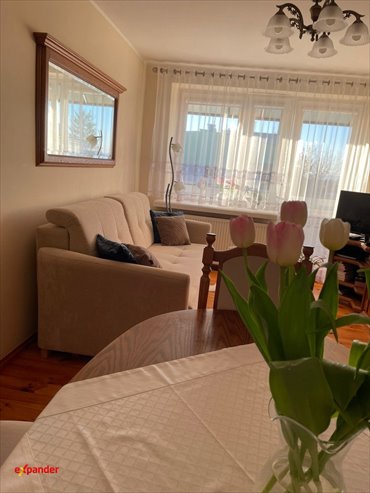 Przestronne 2 pok. mieszkanie 41,2 m², jasne i ustawne mieszkanie Kwidzyn, Graniczna