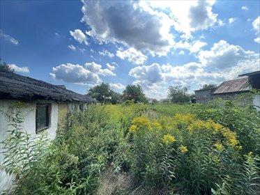 działka na sprzedaż 1700m2 działka Iwiny, Iwiny, Brochowska