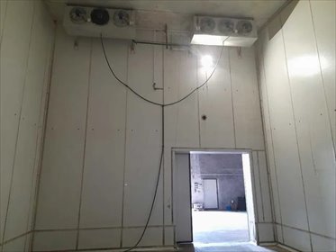 lokal użytkowy na wynajem 500m2 lokal użytkowy Belsk Duży, Belsk Duży
