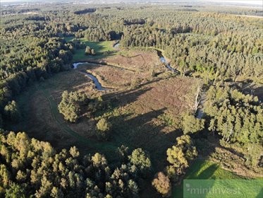 Działka rolna 81 800 m² w Puszczy Goleniowskiej działka Goleniów