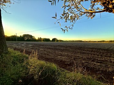 działka na sprzedaż 19618m2 działka Modła, modła