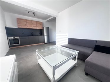 mieszkanie na wynajem 40m2 mieszkanie Żory, Malinowa