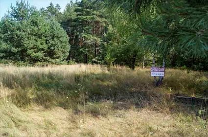 Działka leśna na sprzedaż Firlej 3 200m2 Foto 5