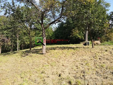 Działka budowlana na sprzedaż Buków 2 086m2 Foto 4