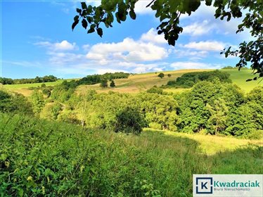 Działka przemysłowo-handlowa na sprzedaż Chyrowa 2 000m2 Foto 1