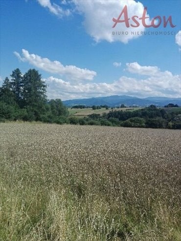działka na sprzedaż 800m2 działka Lipowa