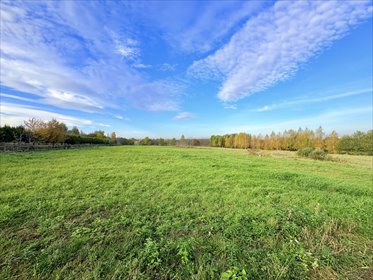 działka na sprzedaż 3658m2 działka Krasne