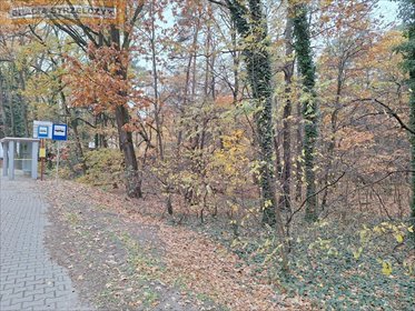 Działka 2400 m² z mediami, las, zabudowa jednorodzinna działka Sękocin-Las