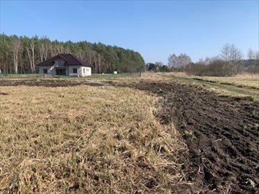 Działka budowlana na sprzedaż Cerekwica 2 398m2 Foto 2
