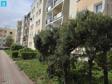 3-pokojowe mieszkanie z balkonem, duży potencjał mieszkanie Rumia, Janowo, Pomorska