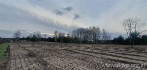 działka na sprzedaż 3000m2 działka Częstoniew
