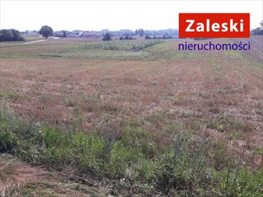 działka na sprzedaż 10000m2 działka Szarłata, Sianowska