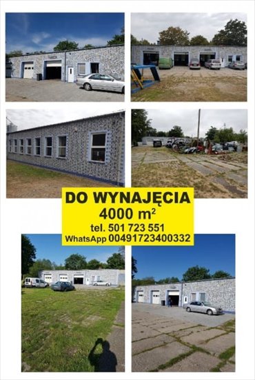 działka na wynajem 4000m2 działka Józefów