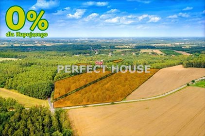 działka na sprzedaż 33031m2 działka Kopanka