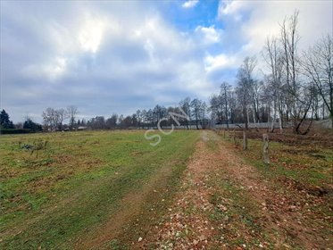 działka na sprzedaż 1203m2 działka Michałów-Reginów