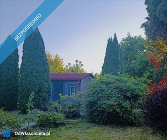 Działka 300 m² z domkiem po remoncie w Ząbkach polecam działka Ząbki