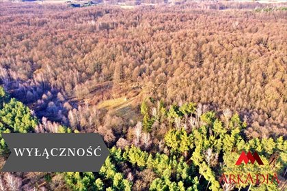 działka na sprzedaż 3100m2 działka Wistka Królewska