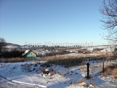 działka na sprzedaż 3647m2 działka Dziećmorowice