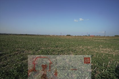 działka na sprzedaż 8244m2 działka Długie