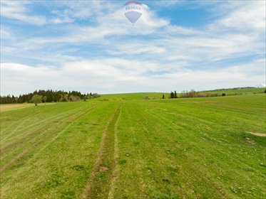 Działka rolna 4357 m² przy drodze w Szaflarach działka Szaflary, Rola Galicowa