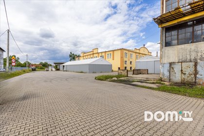 lokal użytkowy na wynajem 3150m2 lokal użytkowy Dąbrowica