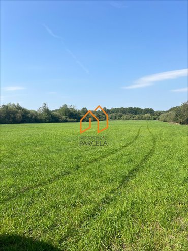 Sprzedam działkę 28 320 m² z mediami i widokiem na przyrodę działka Konarskie