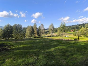 Urokliwa działka widokowa 6746 m² pod zabudowę działka Milówka, Za Kopcem