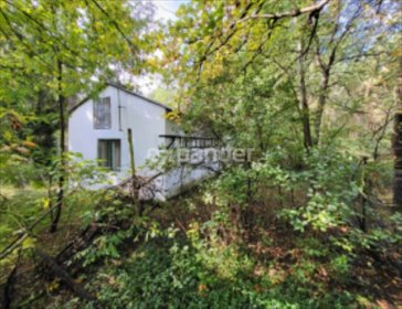 działka na sprzedaż 33000m2 działka Leontynów