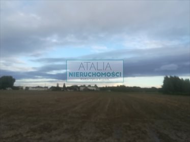 Działka 13 571 m² z planem usługowo-mieszkaniowym działka Wola Łuszczewska, Marysinek